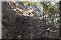 P6124547.JPG