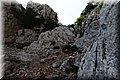P7064589.JPG