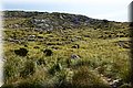 P7064600.JPG