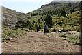P7064601.JPG