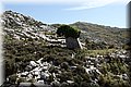 P7064603.JPG