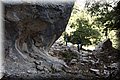 P7064619.JPG