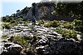 P7064623.JPG