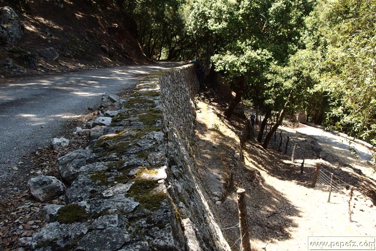 P7104662.JPG