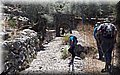 10 at 22.02.47.jpeg