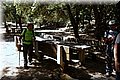 P7104632.JPG
