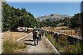 P7104633.JPG