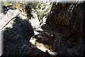P7104635.JPG