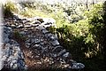 P7104645.JPG
