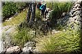 P7104653.JPG