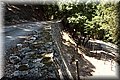 P7104662.JPG