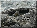 DSCN8331.jpg
