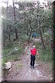 P7134664.JPG