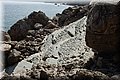 P7134667.JPG