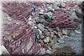 P7174686.JPG