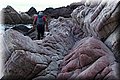 P7174692.JPG