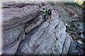 P7174699.JPG