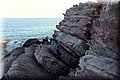 P7174708.JPG