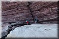 P7174710.JPG