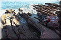 P7174717.JPG