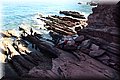 P7174718.JPG