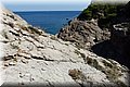P7174731.JPG