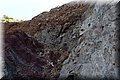 P7174741.JPG