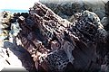 P7174744.JPG