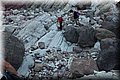 P7174749.JPG