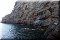 P7174752.JPG