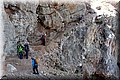 P7174759.JPG