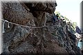 P7174763.JPG