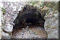 P7204773.JPG