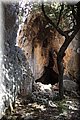 P7204787.JPG