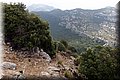 P7204809.JPG
