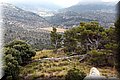 P7204810.JPG