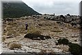 P7204814.JPG