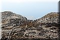 P7204816.JPG