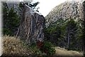 P7244843.JPG