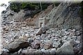 P7244849.JPG