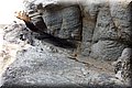 P7244877.JPG