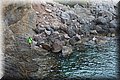 P7244881.JPG