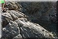 P7244883.JPG