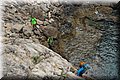 P7244913.JPG