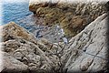 P7244914.JPG