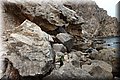 P7244958.JPG