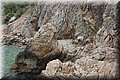 P7244960.JPG