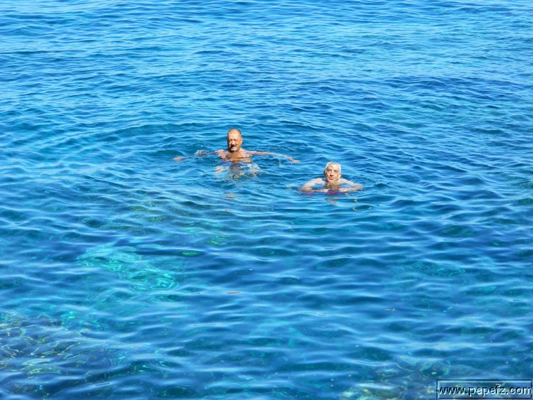 DSCN8363.jpg