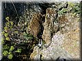 DSCN8360.jpg