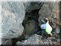 DSCN8362.jpg